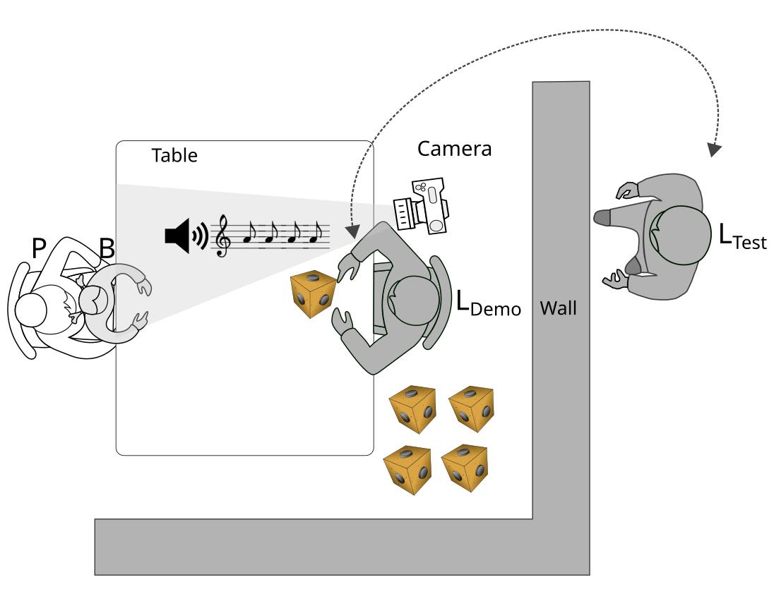 Illustration of the cube experiment